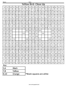 Yellow Bird- Advanced Subtraction worksheet