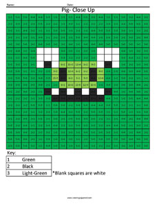 Pig Close Up multiplication division times table practice Angry Birds