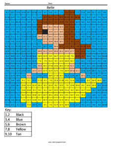 Belle- Advanced Subtraction answer key