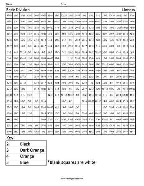 Lioness Division 3rd Grade worksheet