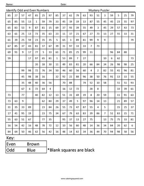 Odd and Even Numbers- Horse 2nd Grade Math Concepts